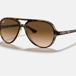Ray-Ban Tortoise Frame Sunglasses with Brown Lenses
